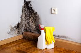 Mold Removal for HVAC Installations in Lake Brownwood, TX